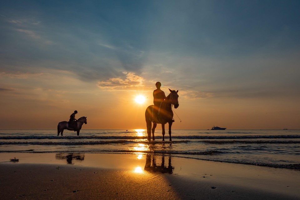 Natascha Worseling vindt het fotograferen van paarden op het strand geweldig.
