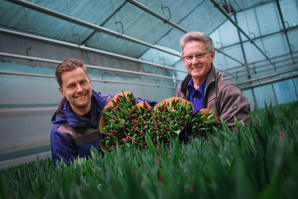 Paul (l) en Piet Schouten tussen de tulpenweelde in het eigen bedrijf: