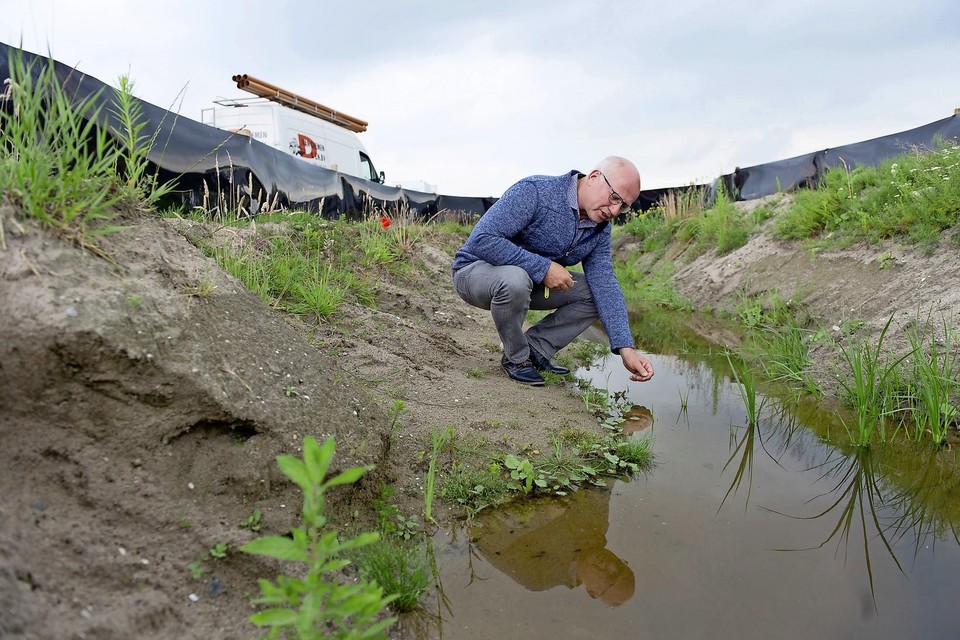 Karst Bant van de gemeente Edam-Volendam zoekt naar paddenvisjes in een poel.