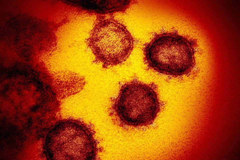Het coronavirus waart nog steeds stevig rond.