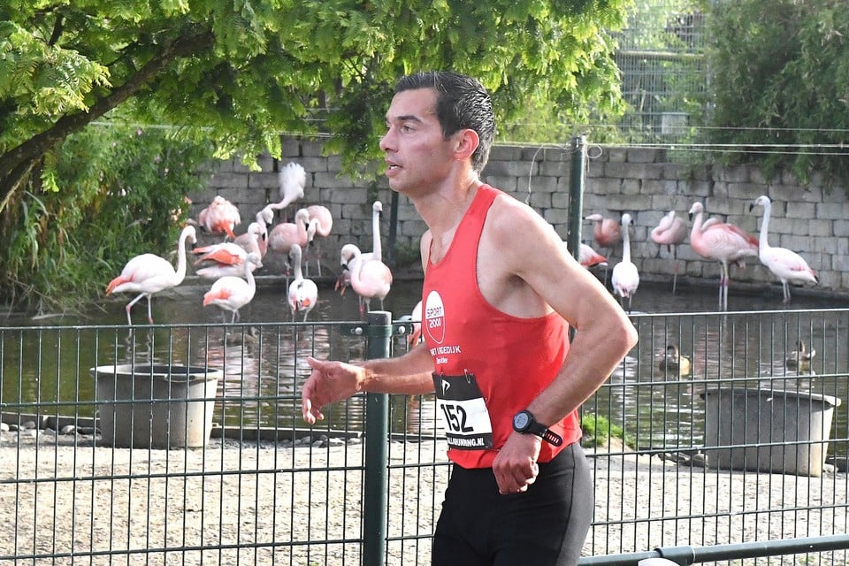 Gianluca Assorgia passeert de flamingo’s in het Van Blanckendaell Park. De hardloper uit Den Helder was oppermachtig in Tuitjenhorn.