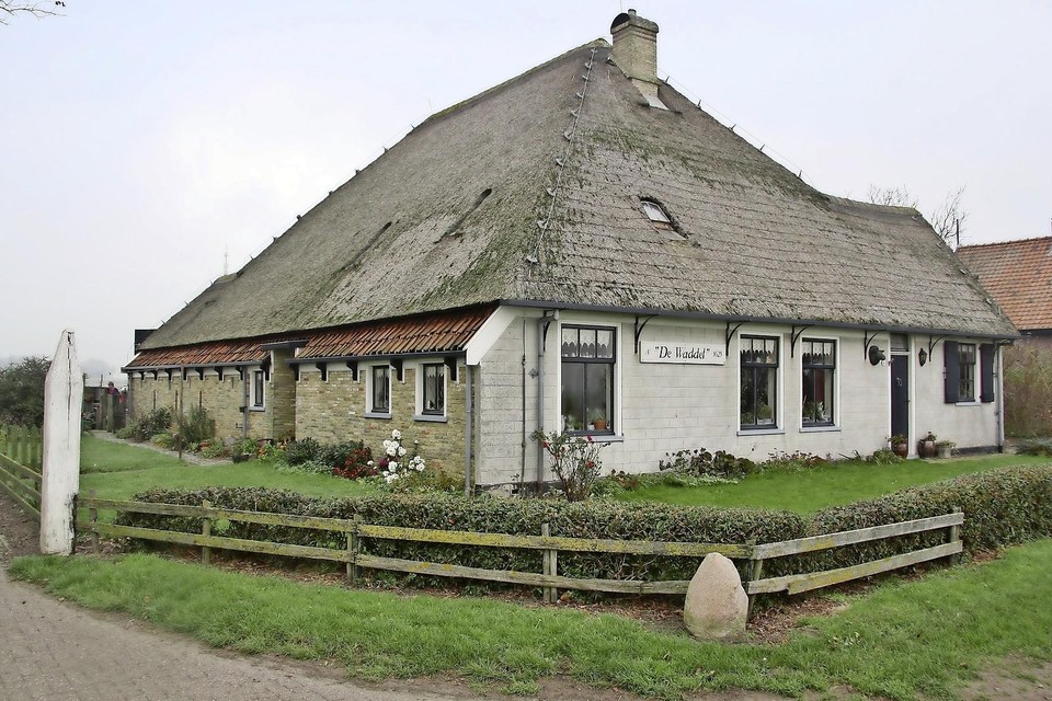 Rijksmonument De Waddel aan de Westergeest in Den Burg, sinds 1994 schapenhouderij van de familie Bakker.