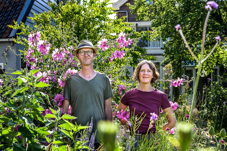 Diederik en Marsha over hun tuin: ’Gewoon uitproberen’.