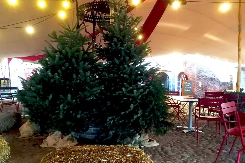 Twee van de vele kerstbomen die het Muiderslot had staan.