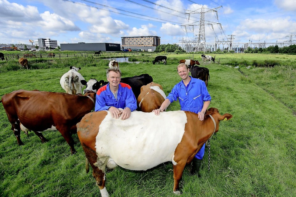 Dirk Koeman(links) en Rick Brouwer en diens koeien.