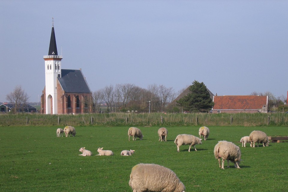 Het karakteristieke kerkje van Den Hoorn.