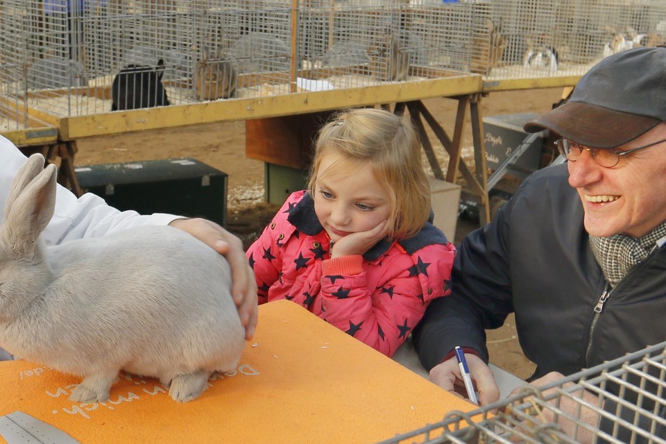 Keurmeester Gerwin van Westerveld beoordeelt een konijn van het zeer 













zeldzame Nederlandse ras Gouwenaar. Schrijver Karst Kolk en zijn kleindochter Sophie van Dijk zijn benieuwd naar de uitslag.
