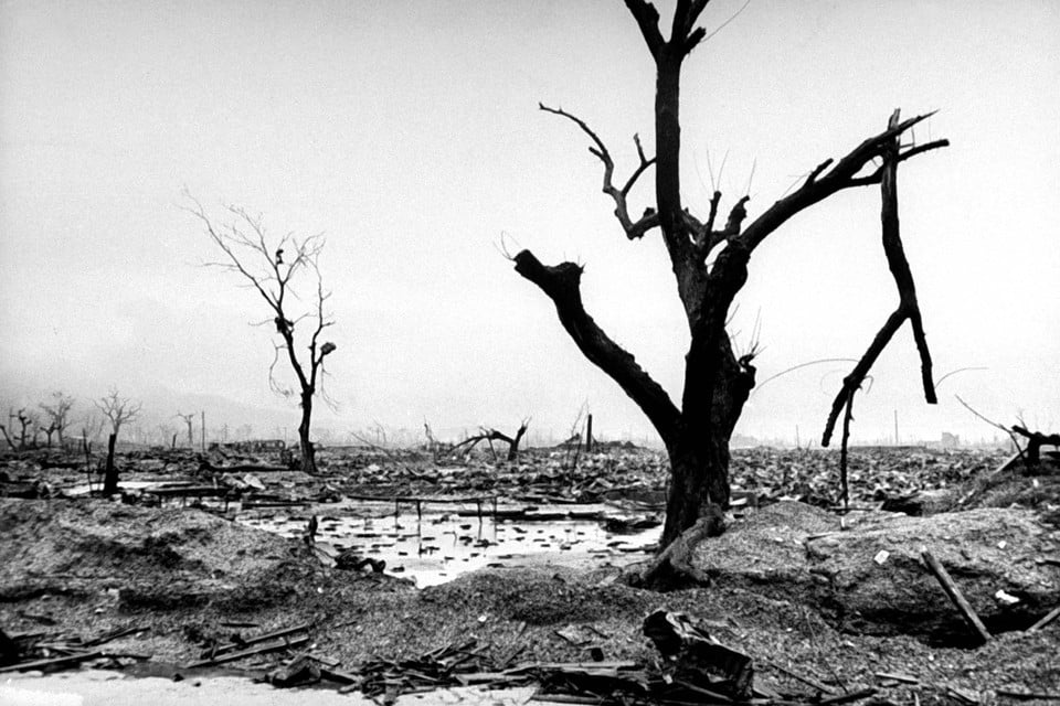 In de jaren na de vernietigende atoomexplosie bleek dat 173 bomen in het centrum van de stad nog in leven waren.