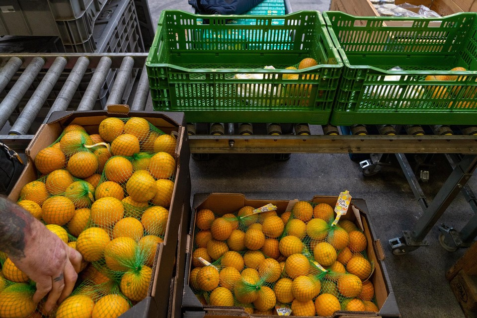 Negen appels voor de van twaalf. Voedselbanken merken de prijsstijging van groente en fruit, maar ze worden gesteund boeren uit de omgeving | Noordhollandsdagblad