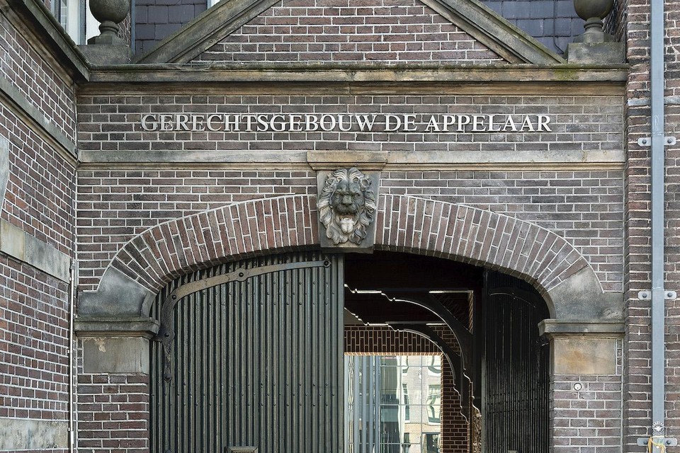 De 29-jarige Rijsenhouter hoeft waarschijnlijk niet terug naar de cel, bleek bij de Haarlemse rechtbank.