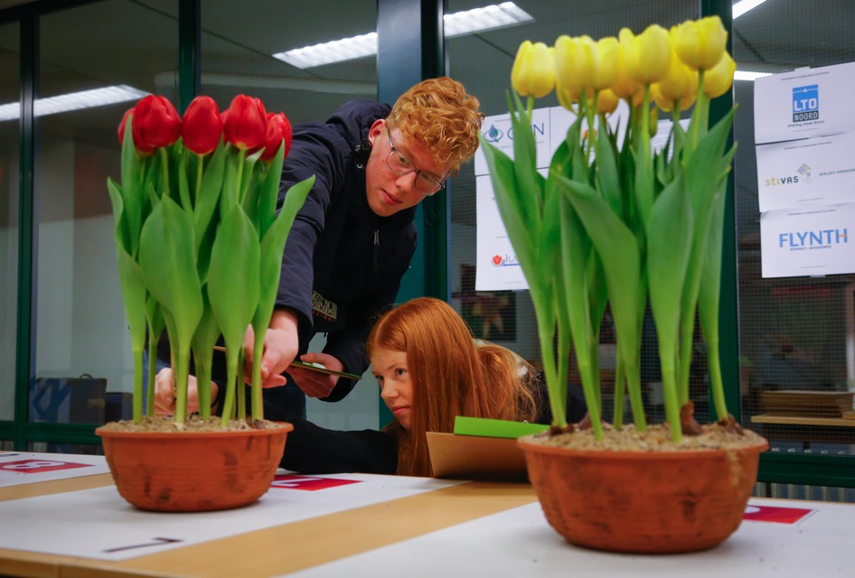 Onderzoekende blikken tijdens tulpenkeuring in Bovenkarspel. het bleek de laatste keer dat de CNB hallen hiervoor in gebruik waren