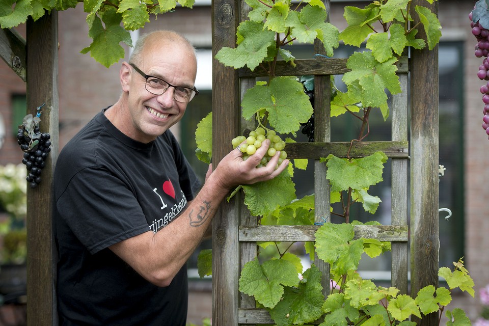 Martin Kuhlman (57) werd ontslagen als art director. Nu is hij bijna gediplomeerd vinoloog.