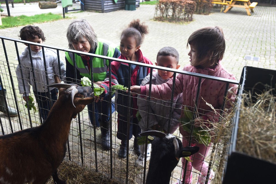 Kinderen va vluchtelingen in Hoogkarspel op bezoek bij kinderboerderij Skik.