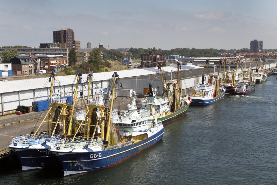 Vissersboten langs de kant van de haven van IJmuiden. Op de achtergrond de Vishallen.