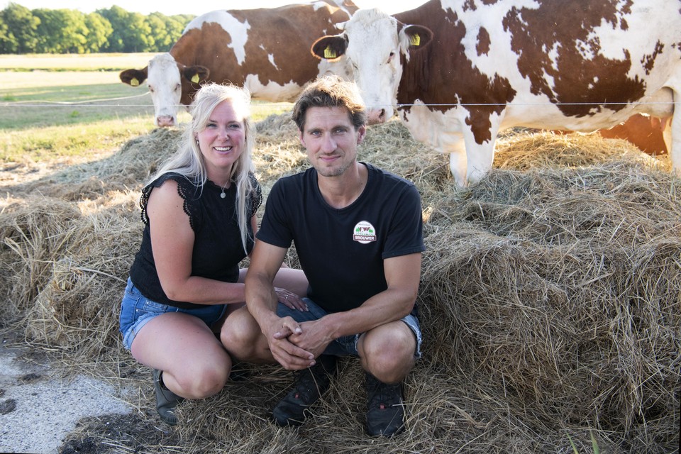 Alex en Daisy Brouwer bij hun koeien achter het Corversbos