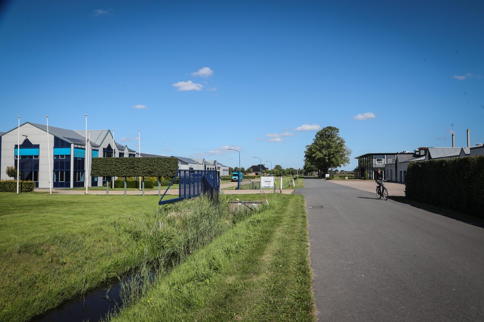 Dekker Chrysanten en Molenaar Agriculture, beide gevestigd aan de Julianaweg, vrezen enorme toename van autoverkeer.