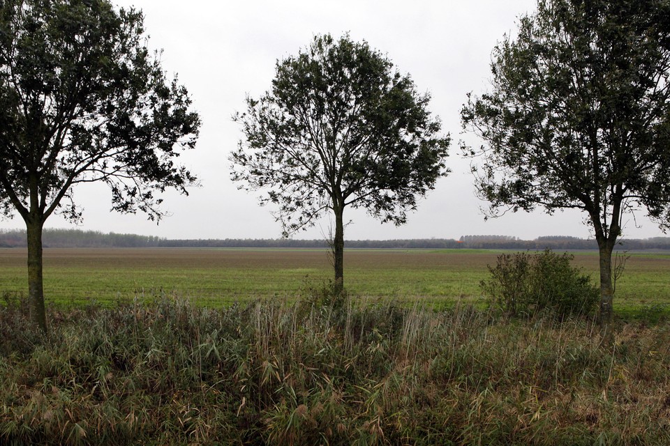 De oneindige velden tussen Almere en Zeewolde, zoals hier bij Oosterwold, liggen te wachten op woningbouw.