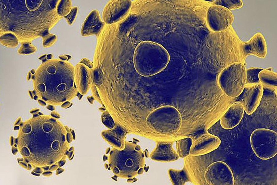 Het coronvirus heeft geleid tot 516 nieuwe besmettingen in de regio Alkmaar.