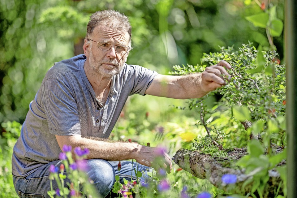 Peter Jochems bij een van zijn bonsaibomen in zijn tuin.