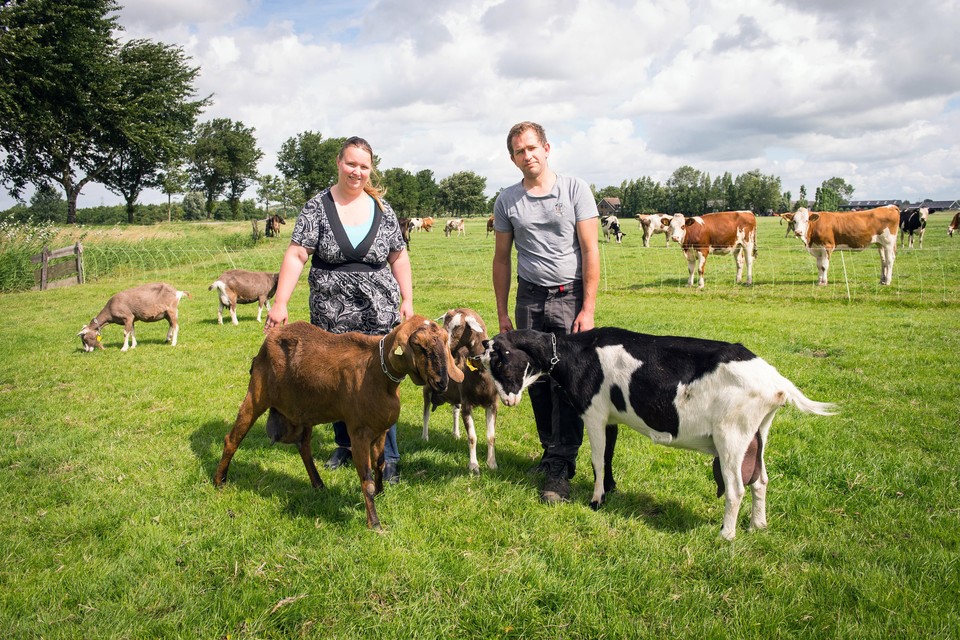 Jan en Myrna De Wit van de White Ranch in Assendelft brengen zaterdag boeren en buren bij elkaar.