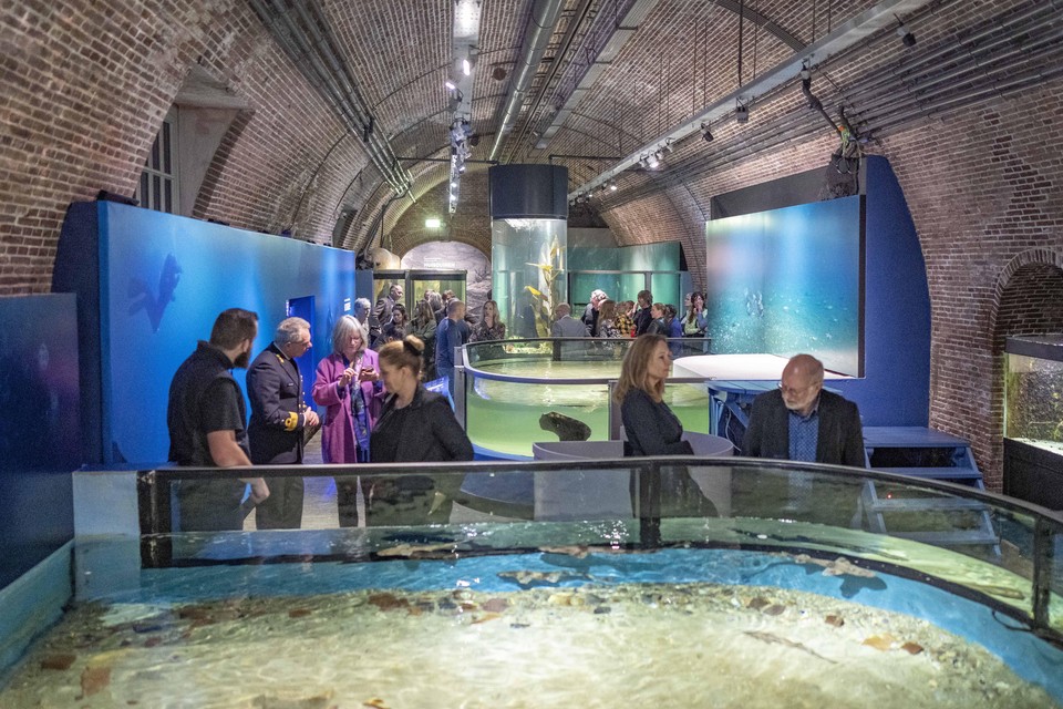 Bezoekers en genodigden nemen een kijkje bij het Noordzeeaquarium van Foto Kijkduin