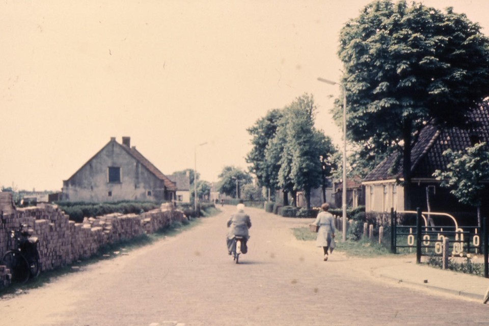 De Maerten van Heemskerckstraat omstreeks 1960.