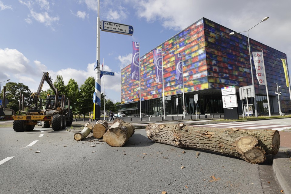 Boomstammen voorkomen dat automobilisten het Mediapark in Hilversum op kunnen rijden.
