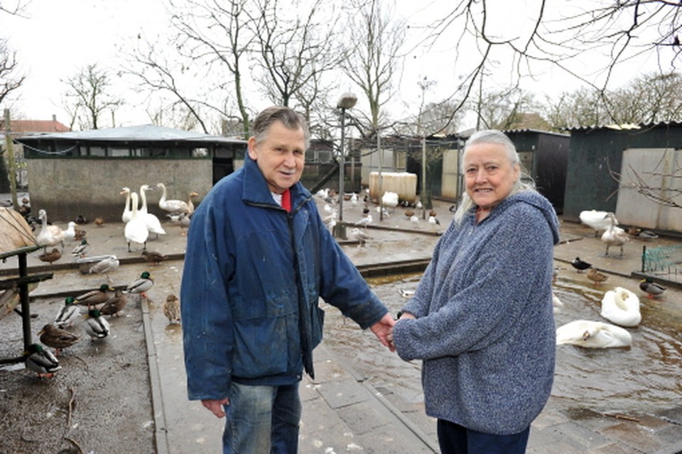 Jan en Ann van Briemen in hun Vogelopvangcentrum tussen de beestjes. Archieffoto Dirk Jongejans