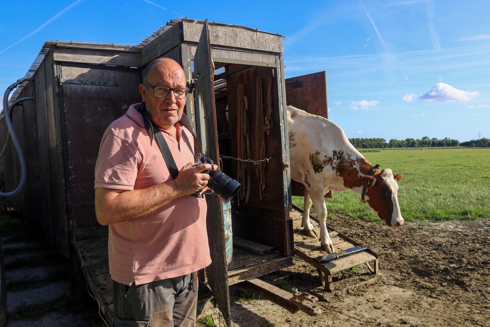 Gert van den Bosch tijdens de fotoshoot in Oude Niedorp. ,,Ik ga zelfs wel eens mee de koeien ophalen. Vind ik leuk.”