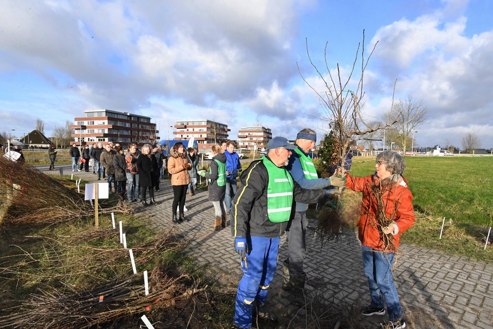 Vrijwilligers Teun Vos (links) en Cor Zwaag helpen mee bij de bomenhub in Schagen.