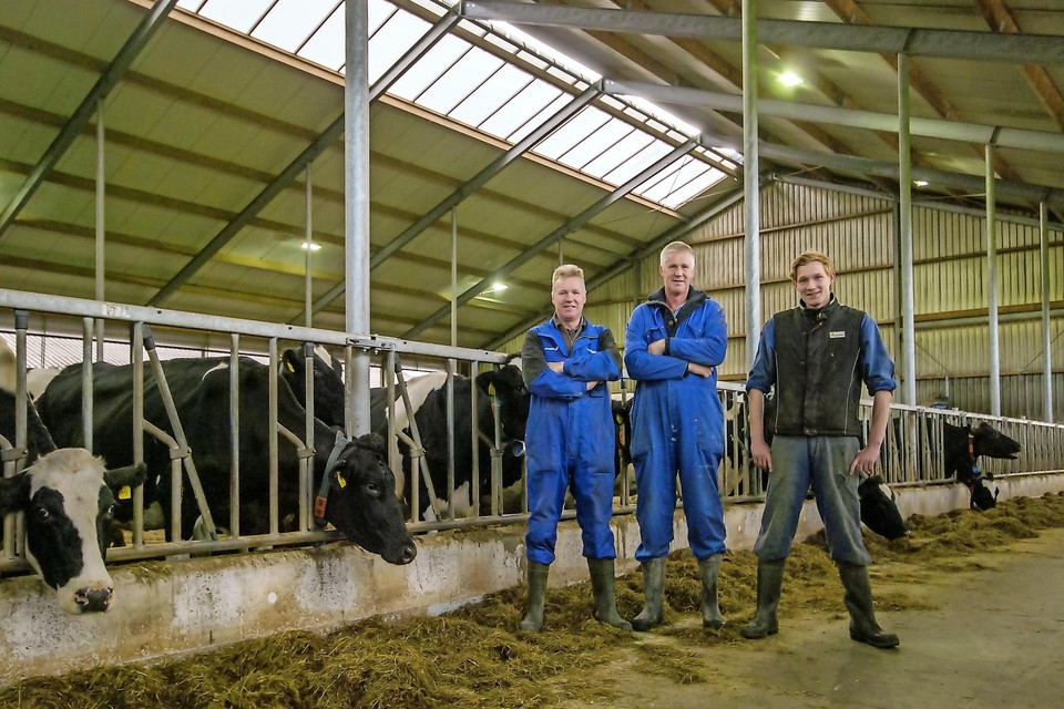 Noordkop teleurgesteld: 'Koeien moeten toch | Noordhollandsdagblad