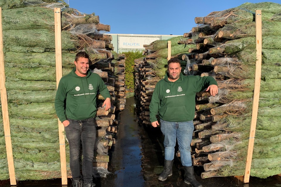 Bas Koning (links) en Danny van den Burg hebben een indrukwekkende voorraad naaldbomen aangelegd voor verkoop.