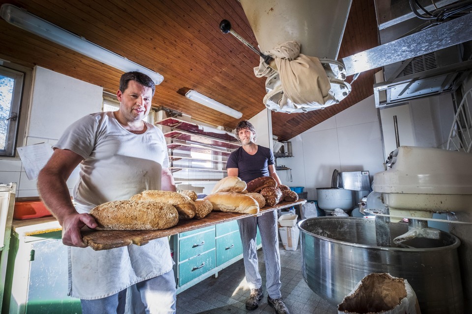 glas verlichten Minimaal Na ruim 125 jaar valt bakkerij Bakker om. De rekeningen zijn niet meer te  betalen. 'De klap is groot' | Noordhollandsdagblad