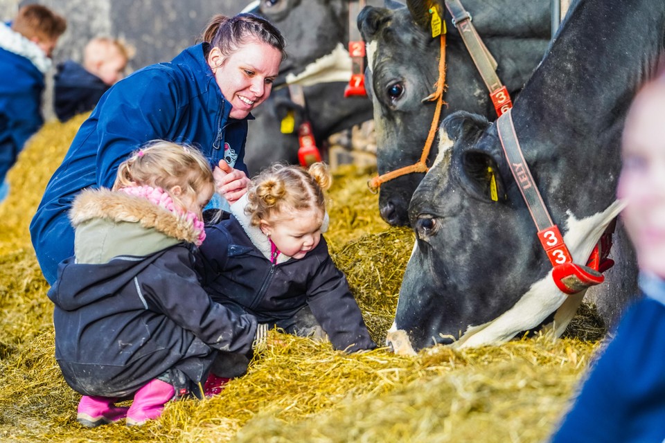 Kinderen genieten in de stal van kinderdagverblijf De Loeiende Koe.
