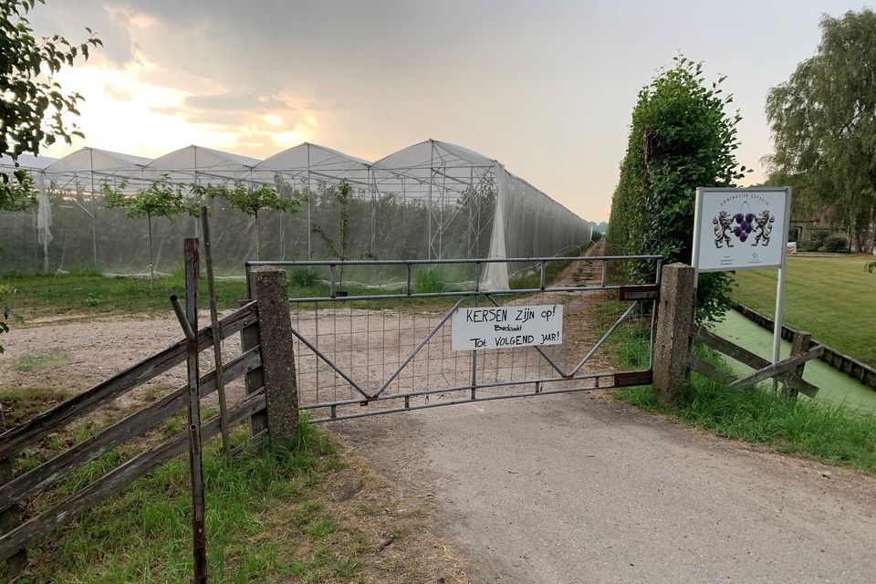 Het hek bij de kersentuin van Appelman in Wognum is weer voor een jaar op slot.