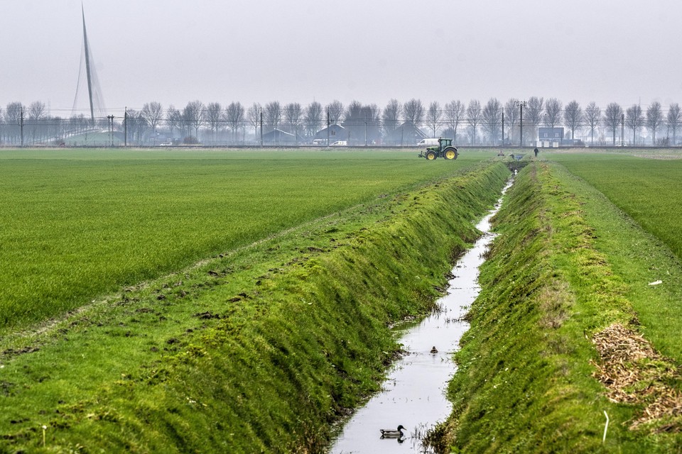 Het boerenland tussen Hoofddorp en Nieuw-Vennep moet Park21 worden.