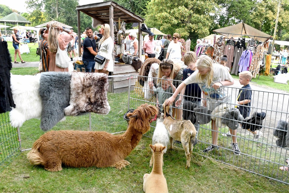 De alpaca's en geitjes van zorgboerderij Tesselaar zijn populair bij de kinderen.
