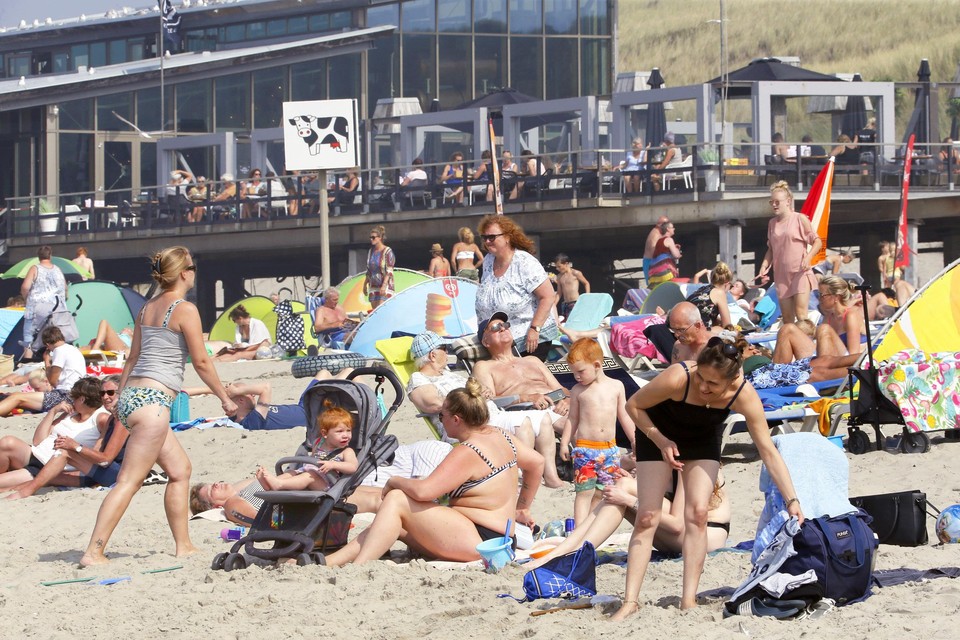 Mensen zoeken op een zomerse dag het Noordzeestrand bij Callantsoog op.